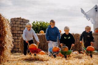 Pumpkin Fun