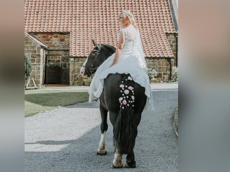 The bride arrives by horse!
picture: Angela Waites