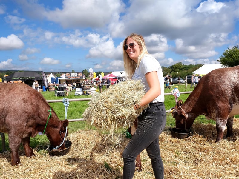 Working at the show.
picture: Richard Ponter