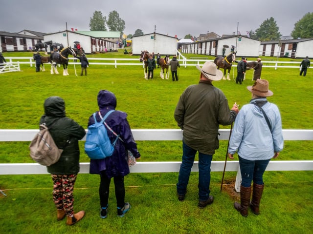 Visitors to the show sheltering from the heavy rain while watching Class 37 Shire Brood Mare, with own foal at foot