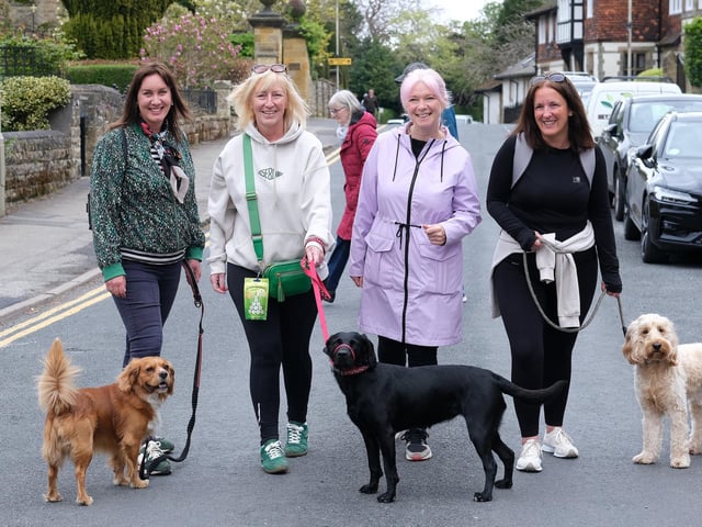 Four-legged friends with their owners, eager to get started.