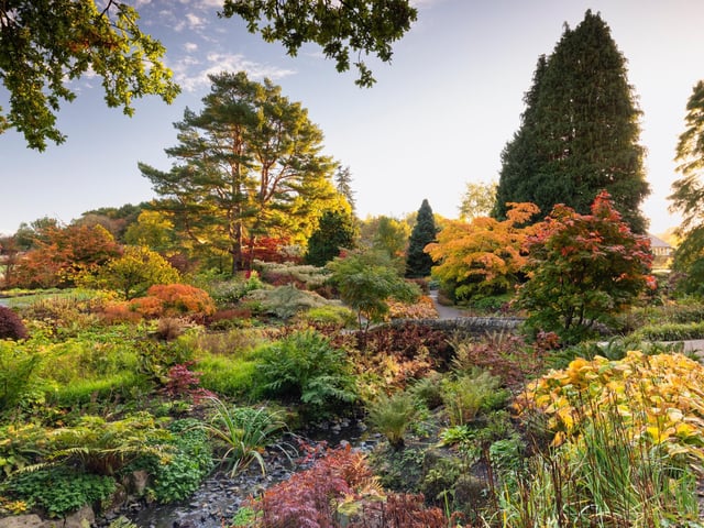 Streamside Walk