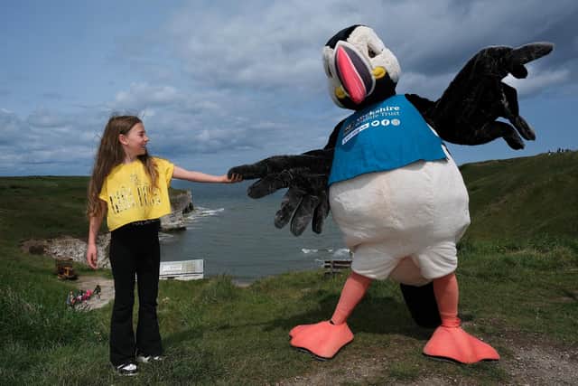 Mia meets Cliff – the giant cuddly puffin mascot!