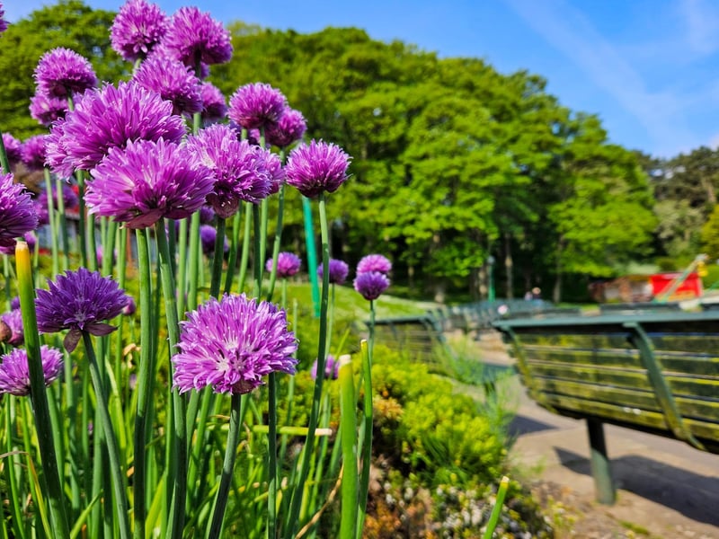A beautiful bank holiday in Scarborough, by Jenna Jackson.