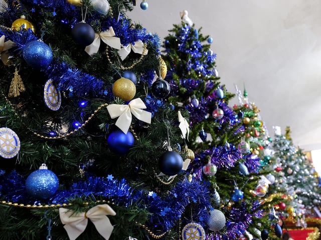 Pretty trees.
picture: Richard Ponter, 225201l