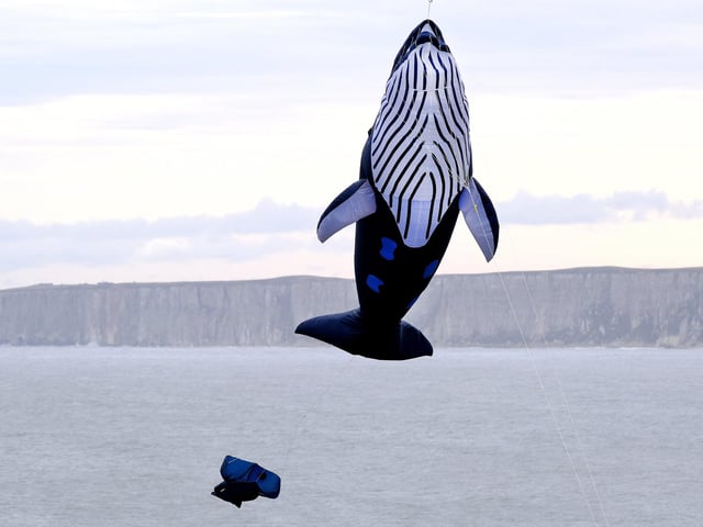 A whale leaping from the sea.