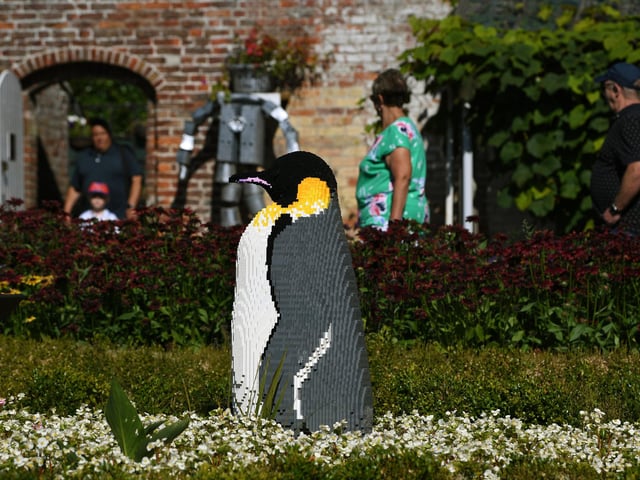 This huge emperor penguin is certainly bigger than the penguins visitors can see at the Sewerby Hall Zoo.