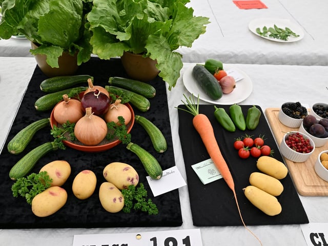 Veg on display.