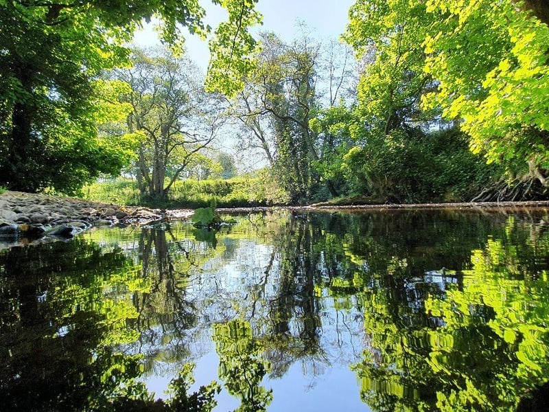 We love this vibrant reflection photo, taken by a Scarborough News reader.