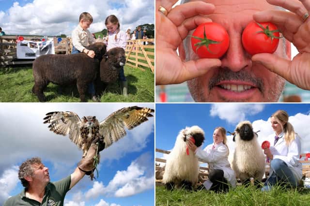 Wonderful images from this year's Danby Show.