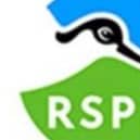 The RSPB Bempton Cliffs column with Ivan Nethercoat.