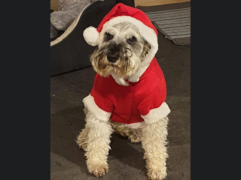 This grumpy looking santa is called Humphrey and he is from Whitby.