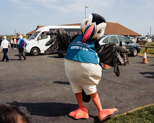 There's a chance to meet mascot Cliff the Puffin. Photo courtesy of Bren O'Hara