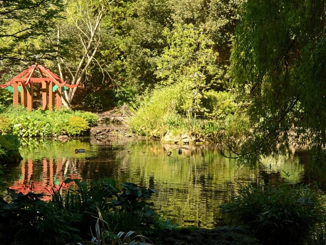 Pretty reflections on the lake at Peasholm Park, by Barbara Bateman.