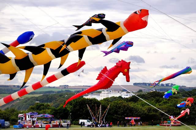 Amazing kites on display.