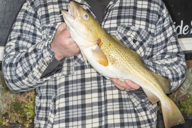 Dave Ward Heaviest Fish at Wednesday's WSAA League match was 4 lb 02½ oz