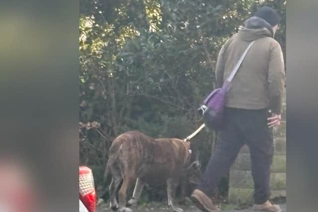 Police are seeking more details about a dog attack in Robin Hood's Bay, near Whitby.