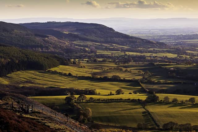 Farming landscape on the North York Moors.