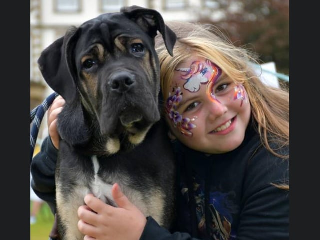 Five-month-old Barry won the Cutest Puppy category.