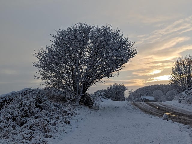 It was definitely a cold start near Ravenscar.