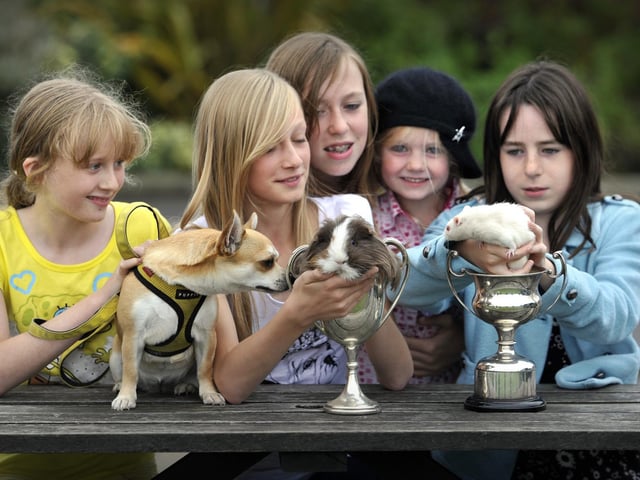 Furry friends, little and large can enter the forthcoming new Scarborough Show - from left, Kate Lewis with her dog Jessie, Harriet Kaye with guinea pig Chocolate and sisters Fia and Megan Kaye-McNeil, and Gemma McNeil with her rat Shaggy. picture by Andrew Higgins