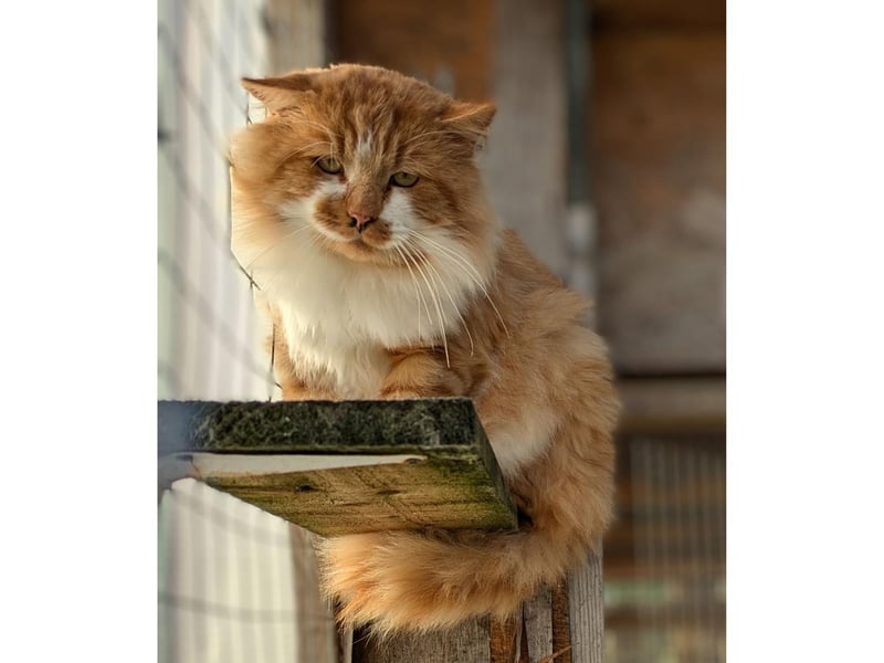 Each and every day I am becoming more confident. All I need is a chin tickle and a little patience.