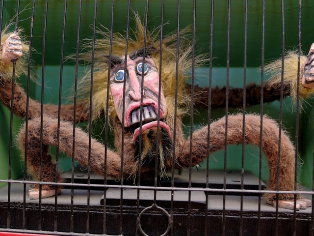A wide variety of exhibits are on display