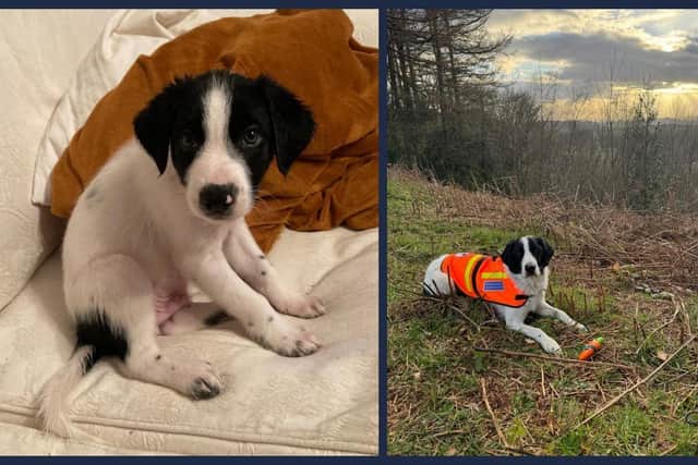 Slate’s training began also during covid time when training in other regions was limited- this coupled with the fact that Sarah is the only dog handler in the SRMRT proved to make the process more challenging.