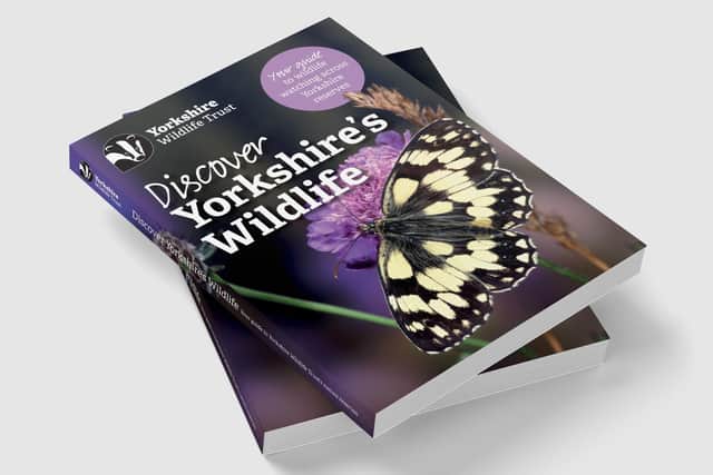 Yorkshire Wildlife Trust have released a new guidebook called 'Discover Yorkshire's Wildlife'.