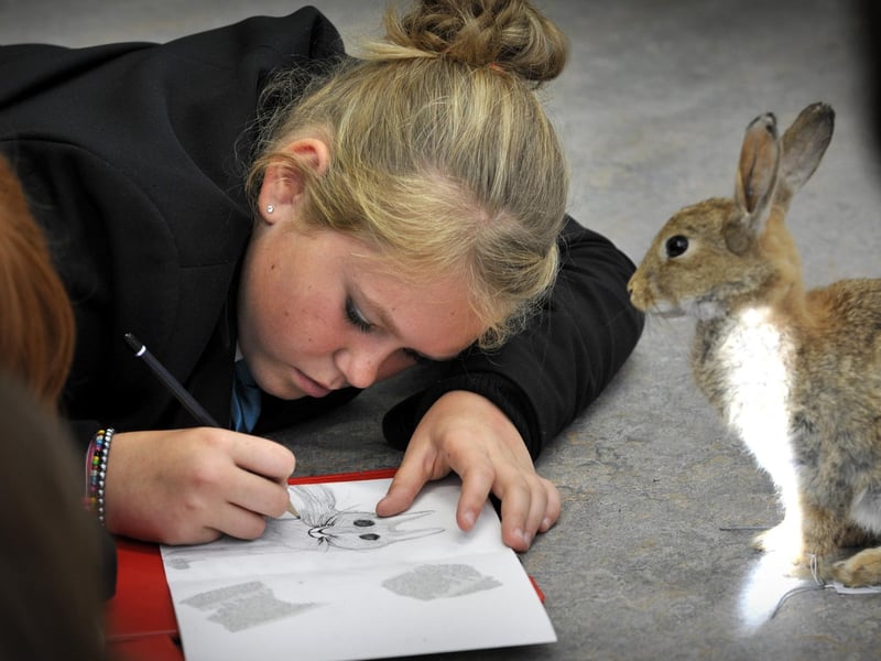 Scalby School Yr 9, 10, 11 students drawing some of the stuffed animals from the Scarborough Museum Trust's collection, at the Woodend Creative Workspace.   
103812c pic by Andrew Higgins