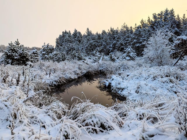 Another capture near Ravenscar.