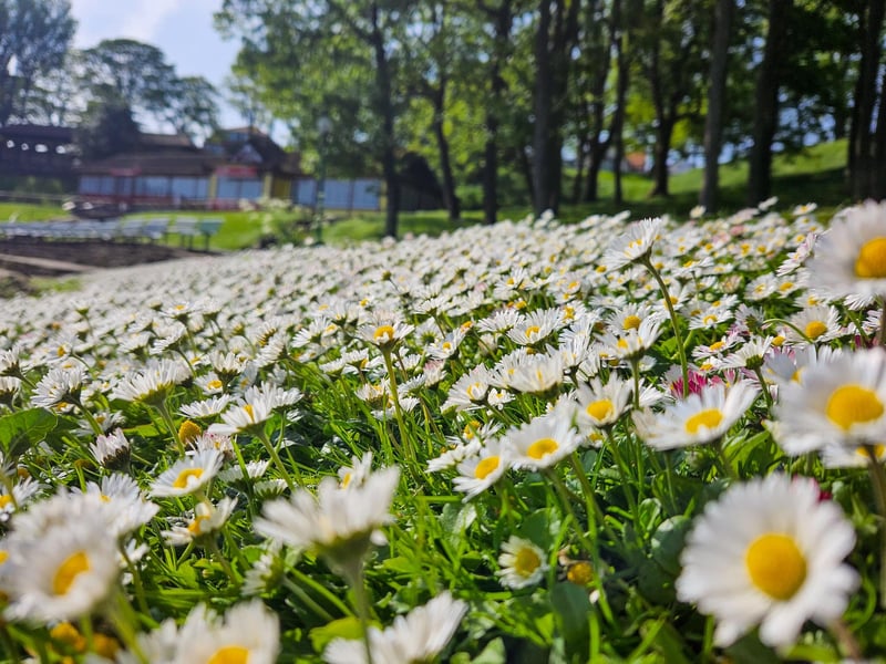 Beautiful bank holiday scene, by Jenna Jackson.