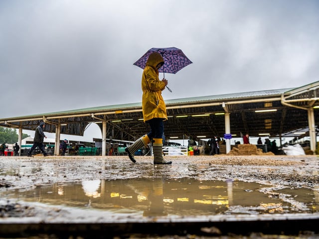 Visitors to the show try to avoid the puddles while walking around the showground