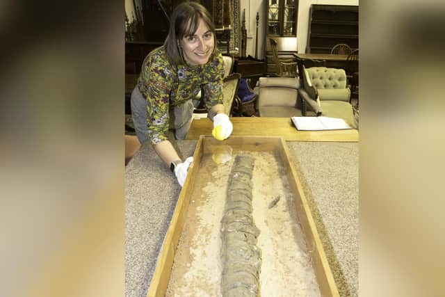 Duggleby's Jess Tarver with the cased ichthyosaur fossil.