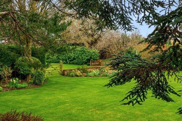 Mature trees, plants and shrubs surround the landscaped garden, with a gated paddock beyond.