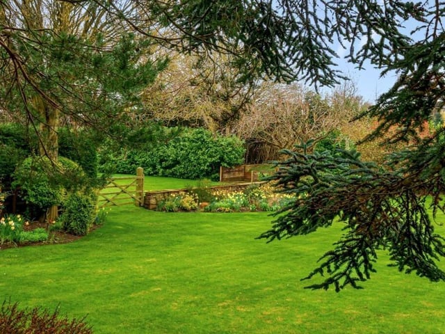 Mature trees, plants and shrubs surround the landscaped garden, with a gated paddock beyond.