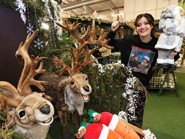 Ready for getting festive! Picture: Richard Ponter