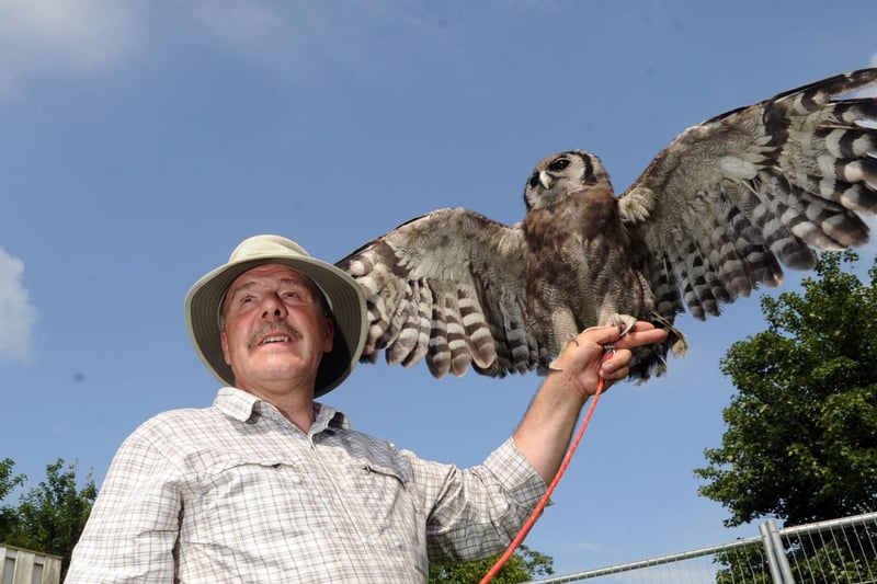 Thornton Le Dale Show 2011; James McKay, Director, National Falconry School, with 9 year old Latte, a Milky Eagle Owl.