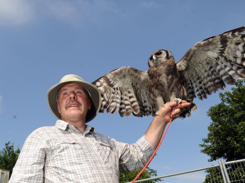 Thornton Le Dale Show 2011; James McKay, Director, National Falconry School, with 9 year old Latte, a Milky Eagle Owl.