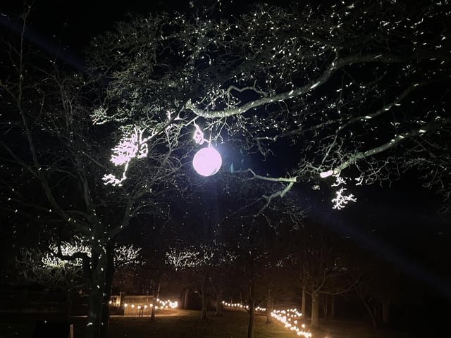 Glittering disco balls hung in trees cast beautiful sparkles all over the canopy.
