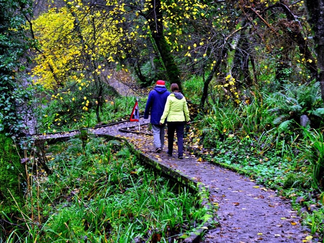 If beach walks aren't your thing, then head down to Forge Valley and breathe in the fresh air.