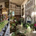 The Orchid Festival is on at Burton Agnes hall from March 23 until April 7.