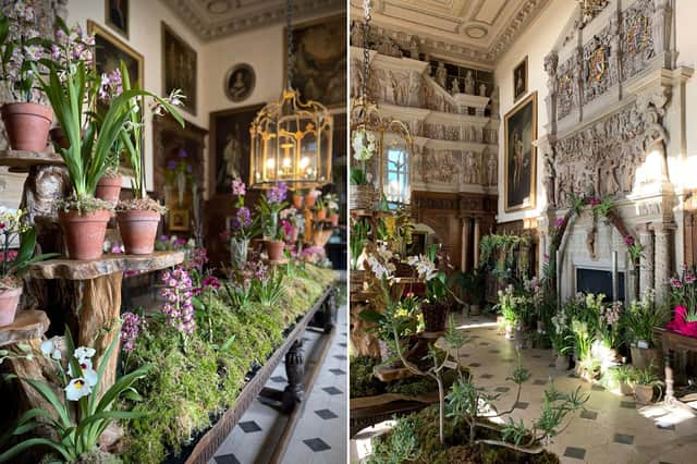 The Orchid Festival is on at Burton Agnes hall from March 23 until April 7.