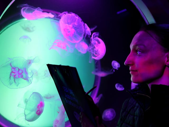 Amy German views the jellyfish
