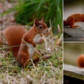 Check out the photos below! Photos courtesy of Simon Hulme.