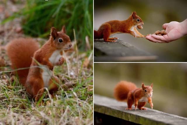 Check out the photos below! Photos courtesy of Simon Hulme.