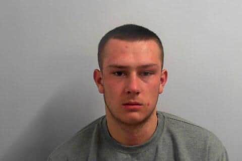 TJ Lewis Glendinning