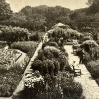 Vintage Views with Aled Jones: This Sewerby Hall scene has changed little