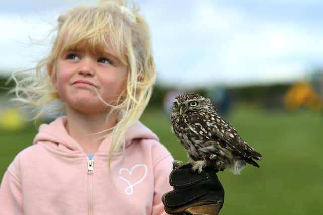 Three-year-old Olivia Stainthorpe at Hinderwell Horse and Agricultual Show.
Picture: Jonathan Gawthorpe