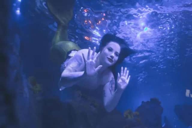 Mermaids return to Scarborough to swim with sharks for a magical event!